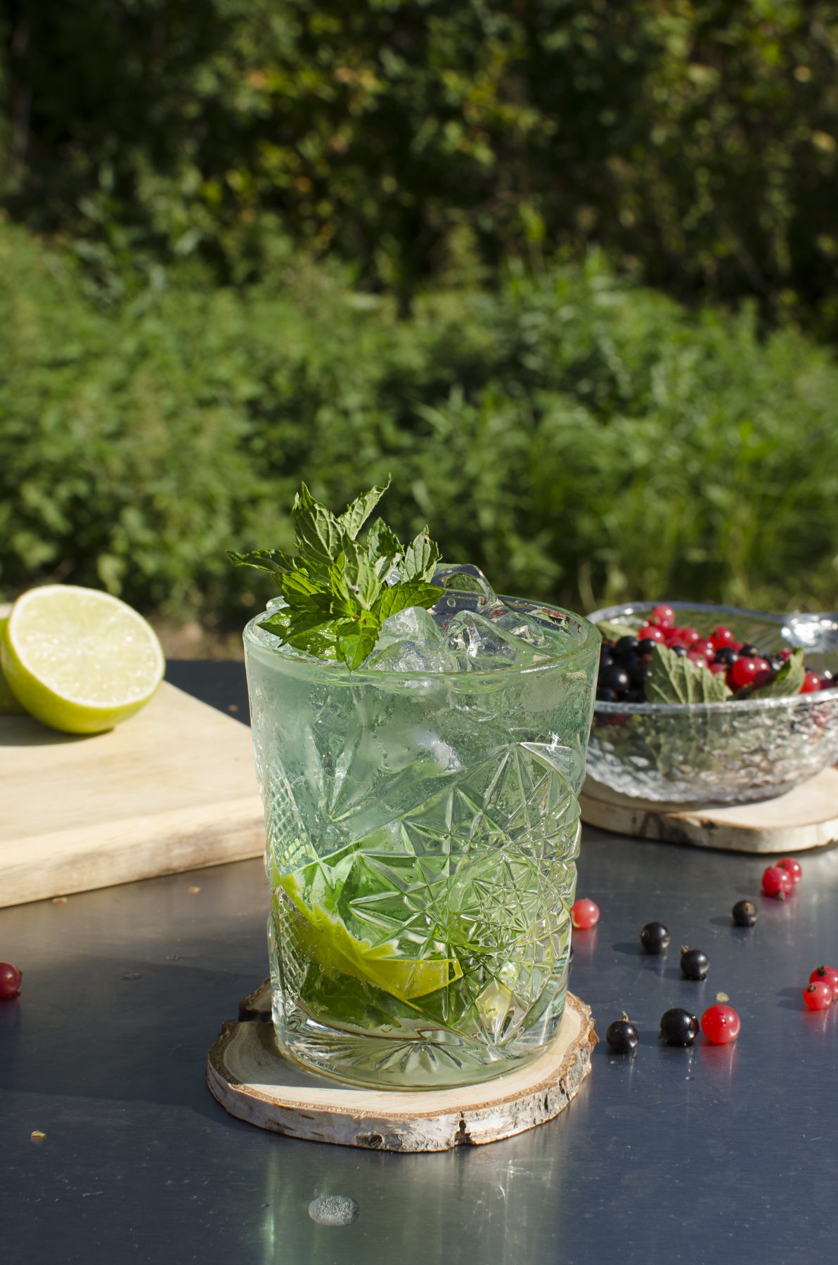 ARCTIC MULE