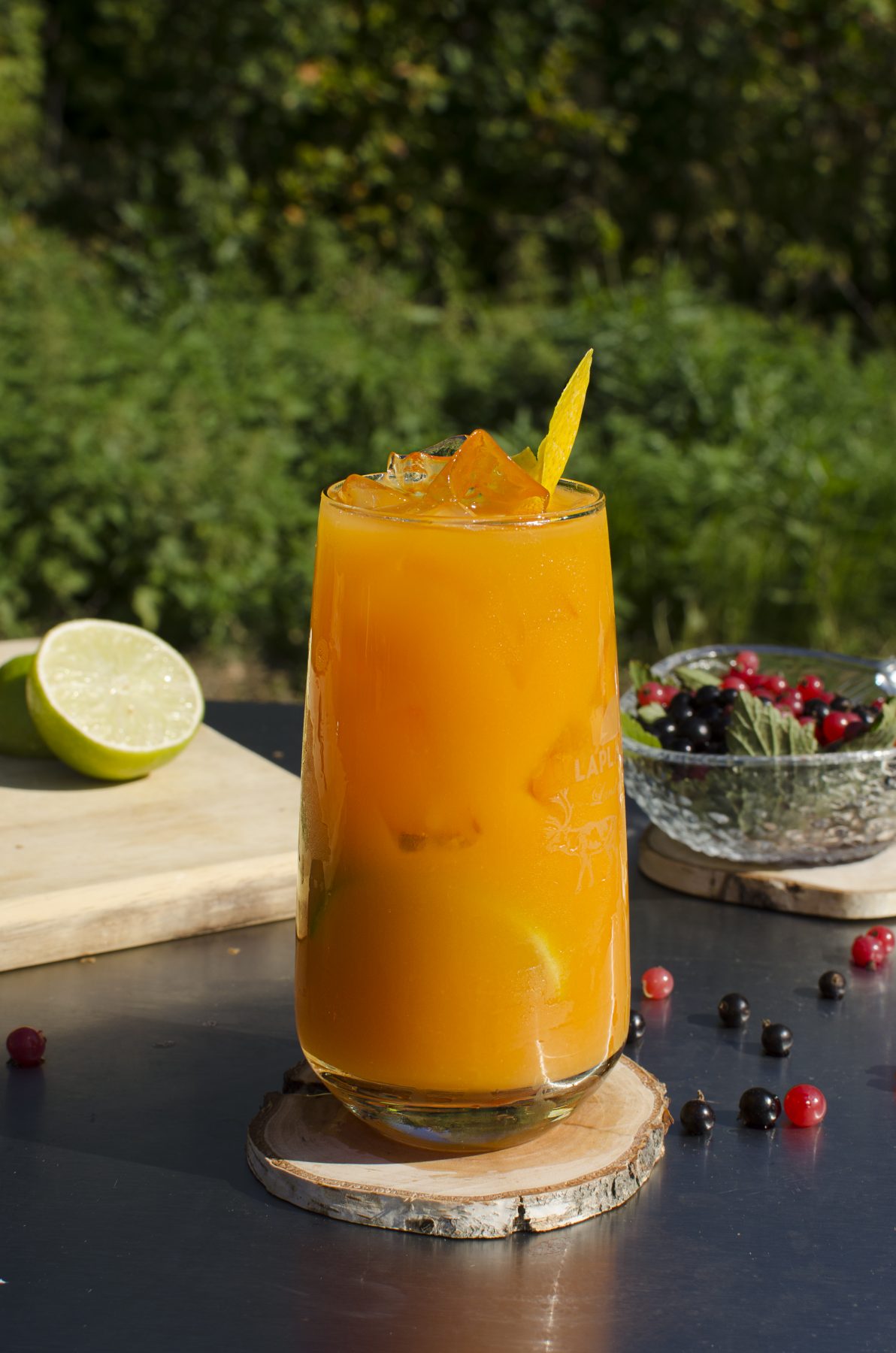 TROPICAL LAPLAND